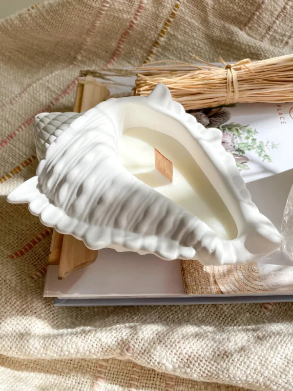 Okyanus Kokulu Deniz Kabuğu Mum